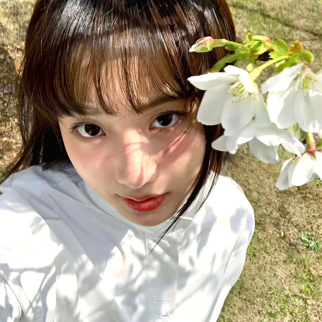 美特拉